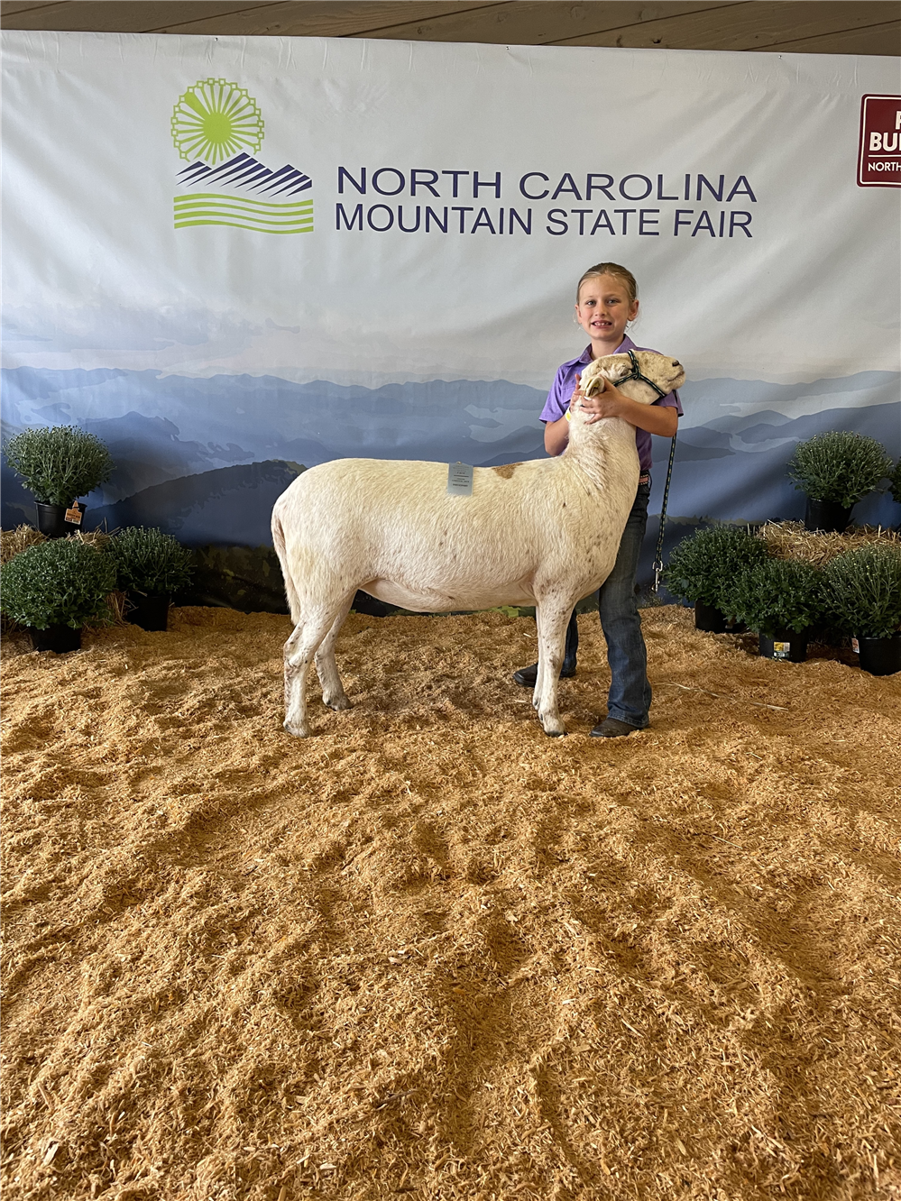 Millbridge Students Show Animals at State Fairs